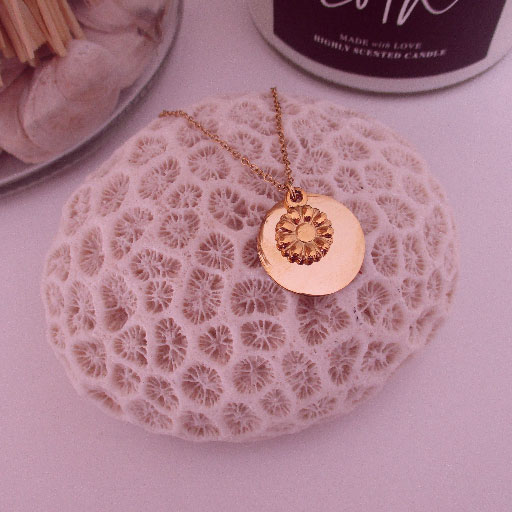 La-Coquette_colliers_hover